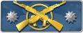 CS-Meister Wächter Elite.png