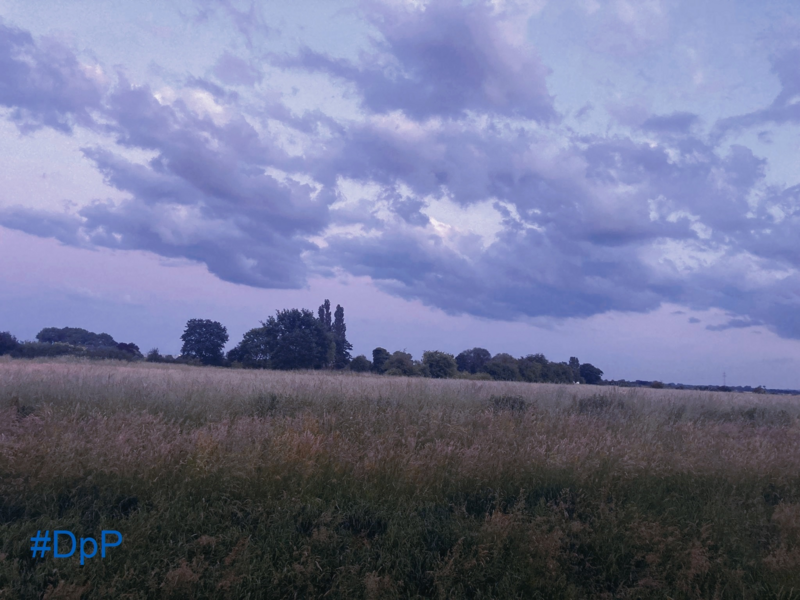 Datei:DasHerzInDenWolken Pudding.png